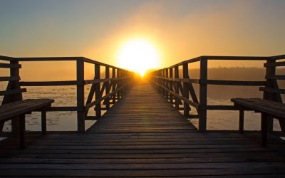 ¿Qué pasa dentro de una sesión de coaching de vida?